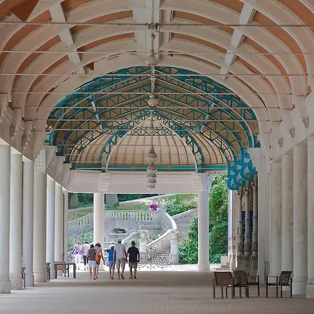 Lumineux 4* Pour 2 A Vittel, Proche Thermes, Wifi, Parking Gratuit - Fr-1-589-745 *