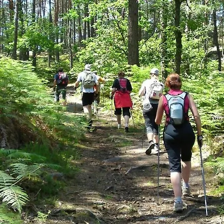 Lumineux 4* Pour 2 A Vittel, Proche Thermes, Wifi, Parking Gratuit - Fr-1-589-745 维泰勒