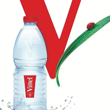 Lumineux 4* Pour 2 A Vittel, Proche Thermes, Wifi, Parking Gratuit - Fr-1-589-745 ויטל