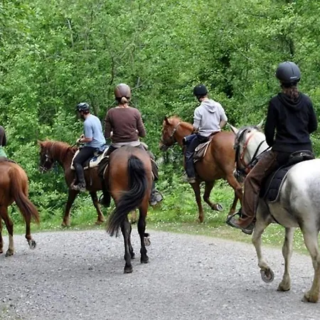 Apartman Lumineux 4* Pour 2 A Vittel, Proche Thermes, Wifi, Parking Gratuit - Fr-1-589-745