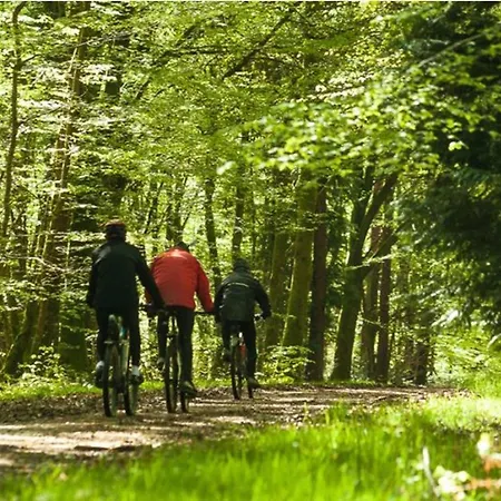 Lumineux 4* Pour 2 A Vittel, Proche Thermes, Wifi, Parking Gratuit - Fr-1-589-745 Apartman *