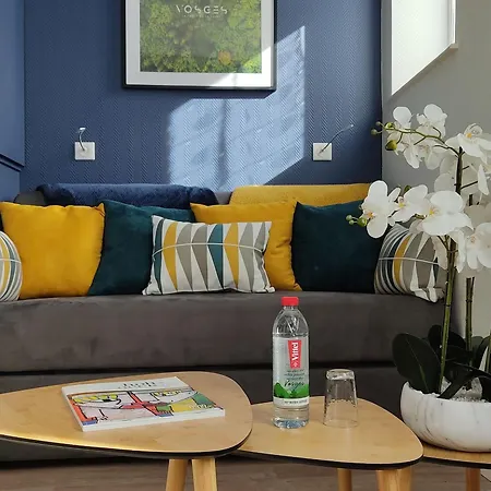 Lumineux 4* Pour 2 A Vittel, Proche Thermes, Wifi, Parking Gratuit - Fr-1-589-745 ויטל