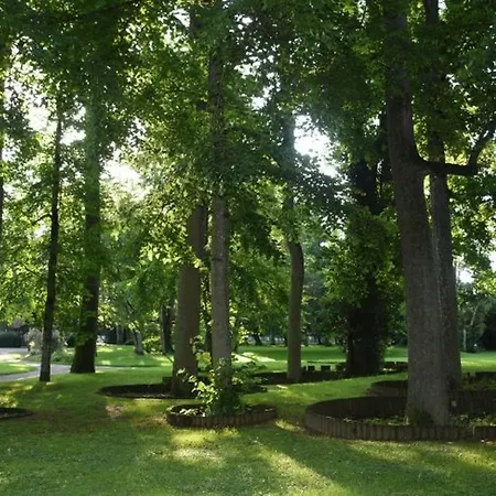 Lumineux 4* Pour 2 A Vittel, Proche Thermes, Wifi, Parking Gratuit - Fr-1-589-745